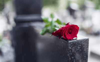 What exactly happens in probate court?